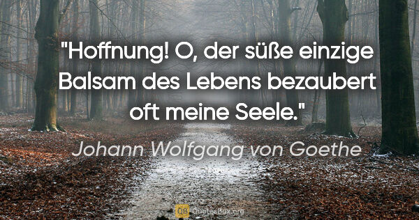 Johann Wolfgang von Goethe Zitat: "Hoffnung! O, der süße einzige Balsam des Lebens bezaubert oft..."