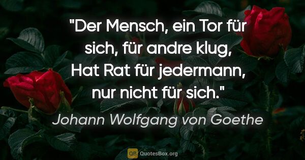 Johann Wolfgang von Goethe Zitat: "Der Mensch, ein Tor für sich, für andre klug,
Hat Rat für..."
