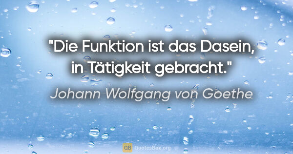 Johann Wolfgang von Goethe Zitat: "Die Funktion ist das Dasein, in Tätigkeit gebracht."