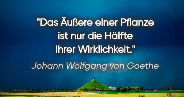 Johann Wolfgang von Goethe Zitat: "Das Äußere einer Pflanze ist nur die Hälfte ihrer Wirklichkeit."