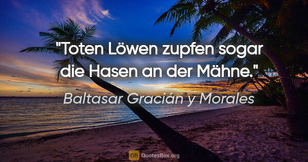 Baltasar Gracián y Morales Zitat: "Toten Löwen zupfen sogar die Hasen an der Mähne."