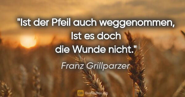 Franz Grillparzer Zitat: "Ist der Pfeil auch weggenommen,
Ist es doch die Wunde nicht."