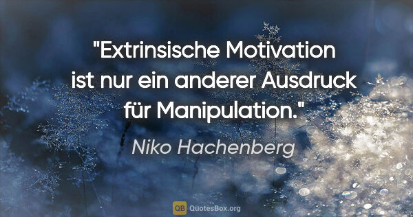 Niko Hachenberg Zitat: "Extrinsische Motivation ist nur ein anderer Ausdruck für..."