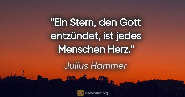 Julius Hammer Zitat: "Ein Stern, den Gott entzündet, ist jedes Menschen Herz."