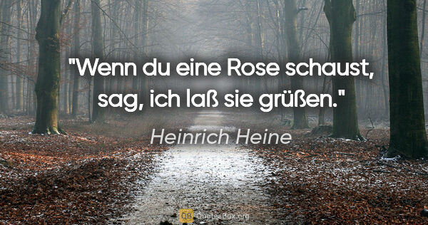 Heinrich Heine Zitat: "Wenn du eine Rose schaust, sag, ich laß sie grüßen."