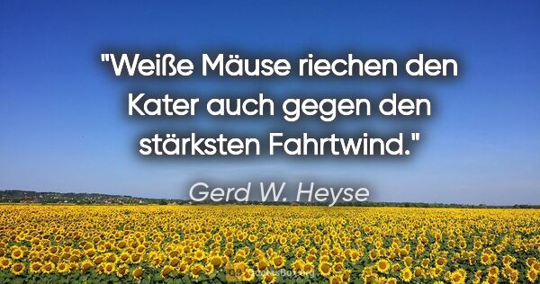 Gerd W. Heyse Zitat: "Weiße Mäuse riechen den Kater
auch gegen den stärksten Fahrtwind."