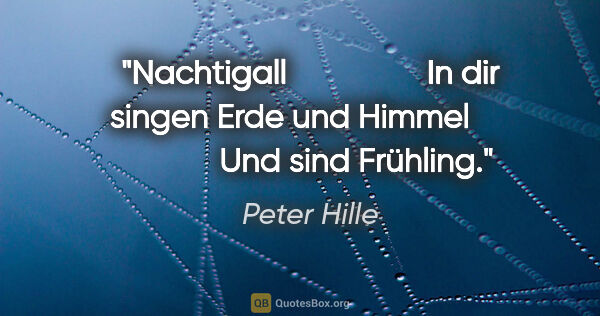 Peter Hille Zitat: "Nachtigall
                In dir singen Erde und Himmel
     ..."