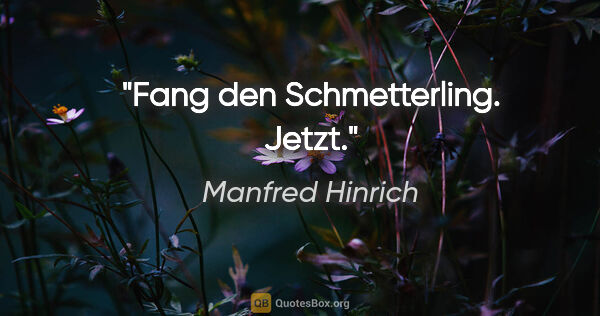 Manfred Hinrich Zitat: "Fang den Schmetterling. Jetzt."
