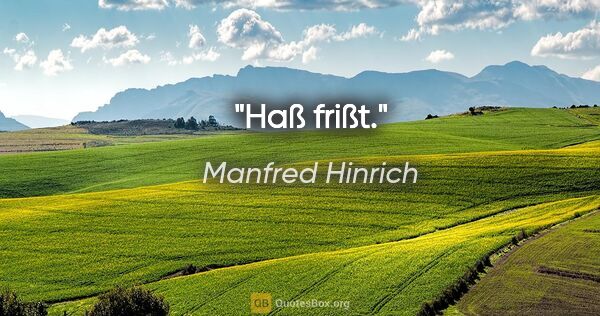 Manfred Hinrich Zitat: "Haß frißt."