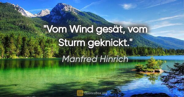 Manfred Hinrich Zitat: "Vom Wind gesät, vom Sturm geknickt."
