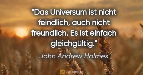 John Andrew Holmes Zitat: "Das Universum ist nicht feindlich, auch nicht freundlich.
Es..."