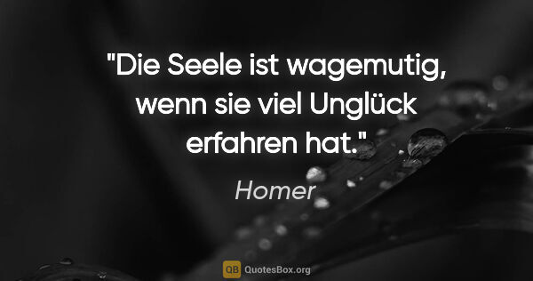 Homer Zitat: "Die Seele ist wagemutig, wenn sie viel Unglück erfahren hat."