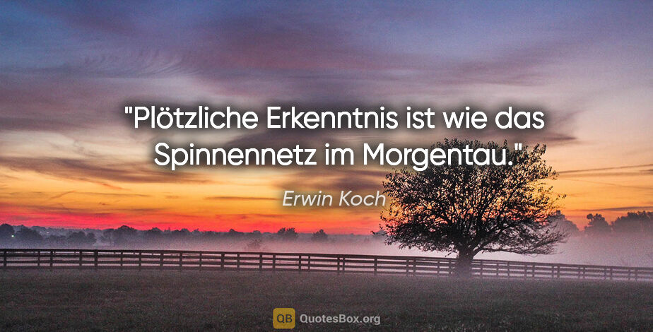 Erwin Koch Zitat: "Plötzliche Erkenntnis ist wie das  Spinnennetz im Morgentau."