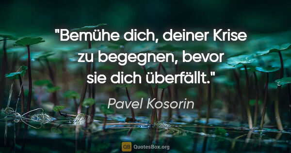 Pavel Kosorin Zitat: "Bemühe dich, deiner Krise zu begegnen, bevor sie dich überfällt."