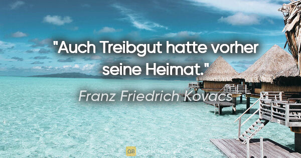 Franz Friedrich Kovacs Zitat: "Auch Treibgut hatte vorher seine Heimat."