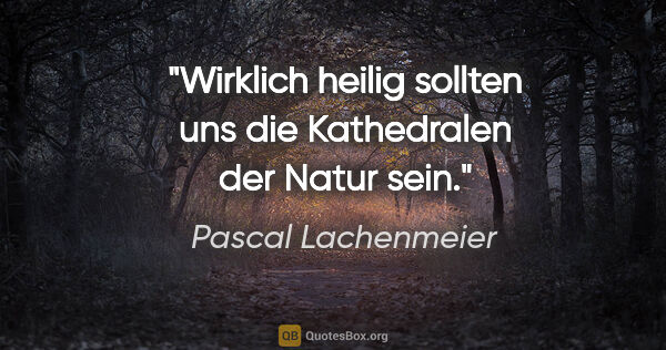 Pascal Lachenmeier Zitat: "Wirklich heilig sollten uns die Kathedralen der Natur sein."