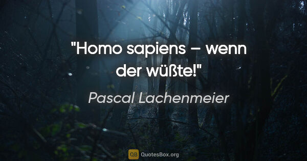 Pascal Lachenmeier Zitat: "Homo sapiens – wenn der wüßte!"