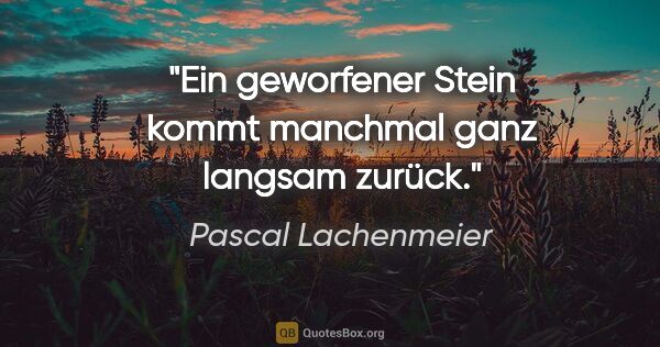 Pascal Lachenmeier Zitat: "Ein geworfener Stein kommt manchmal ganz langsam zurück."