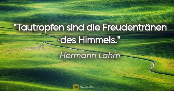 Hermann Lahm Zitat: "Tautropfen sind die Freudentränen des Himmels."