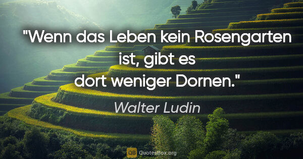 Walter Ludin Zitat: "Wenn das Leben kein Rosengarten ist, gibt es dort weniger Dornen."