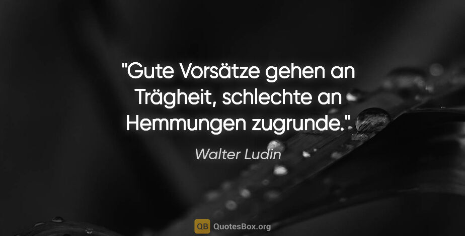 Walter Ludin Zitat: "Gute Vorsätze gehen an Trägheit,

schlechte an Hemmungen..."