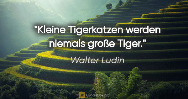 Walter Ludin Zitat: "Kleine Tigerkatzen

werden niemals große Tiger."