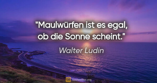 Walter Ludin Zitat: "Maulwürfen ist es egal,
ob die Sonne scheint."