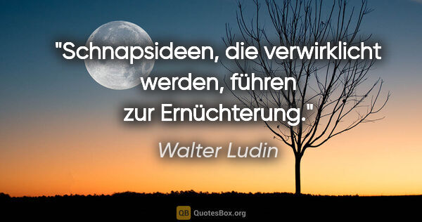 Walter Ludin Zitat: "Schnapsideen, die verwirklicht werden, führen zur Ernüchterung."