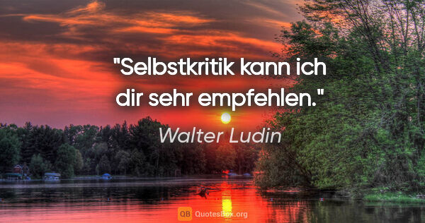 Walter Ludin Zitat: "Selbstkritik kann ich dir sehr empfehlen."