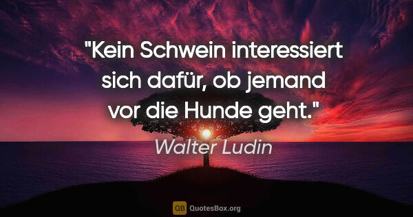 Walter Ludin Zitat: "Kein Schwein interessiert sich dafür,
ob jemand vor die Hunde..."