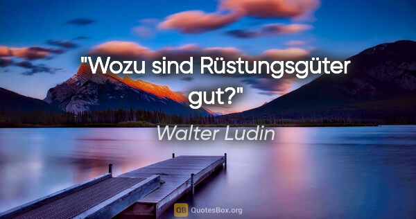 Walter Ludin Zitat: "Wozu sind Rüstungsgüter gut?"