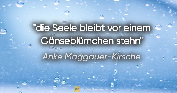 Anke Maggauer-Kirsche Zitat: "die Seele bleibt vor einem Gänseblümchen stehn"