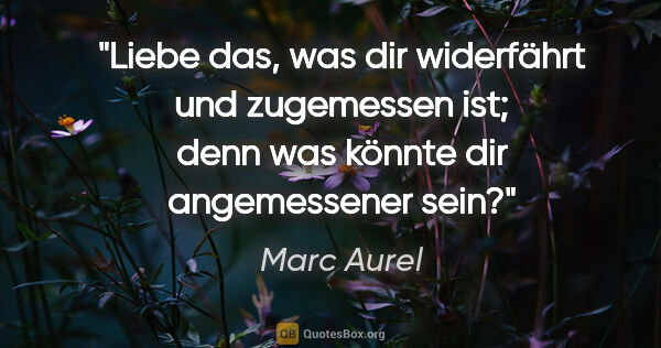 Marc Aurel Zitat: "Liebe das, was dir widerfährt und zugemessen ist; denn was..."