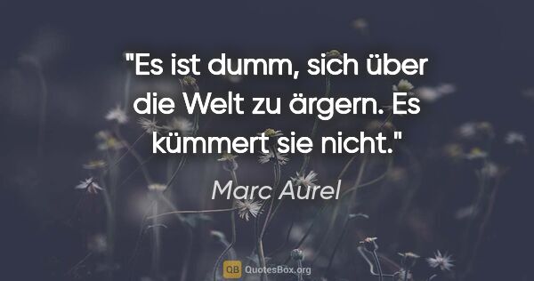 Marc Aurel Zitat: "Es ist dumm, sich über die Welt zu ärgern. Es kümmert sie nicht."