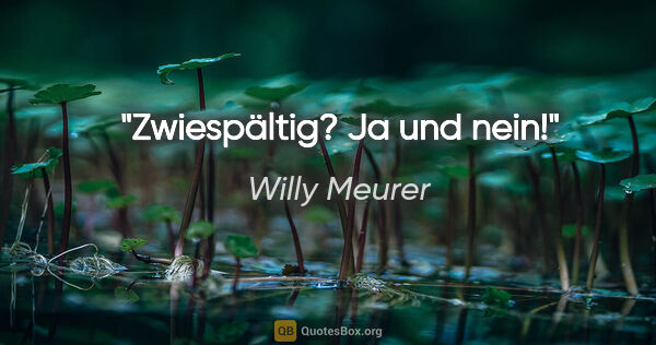 Willy Meurer Zitat: "Zwiespältig? Ja und nein!"