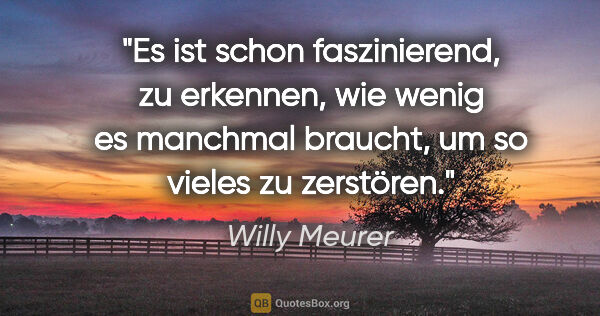 Willy Meurer Zitat: "Es ist schon faszinierend, zu erkennen, wie wenig es manchmal..."