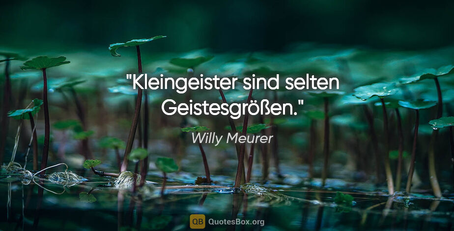 Willy Meurer Zitat: "Kleingeister sind selten Geistesgrößen."