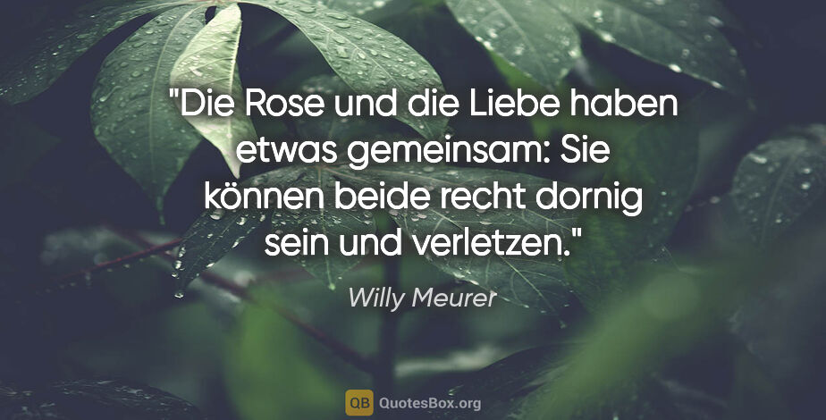 Willy Meurer Zitat: "Die Rose und die Liebe haben etwas gemeinsam: Sie können beide..."