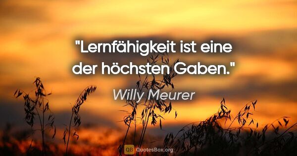 Willy Meurer Zitat: "Lernfähigkeit ist eine der höchsten Gaben."