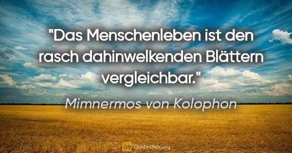 Mimnermos von Kolophon Zitat: "Das Menschenleben ist den rasch dahinwelkenden Blättern..."