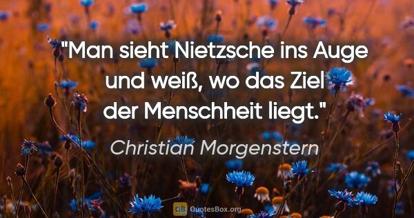 Christian Morgenstern Zitat: "Man sieht Nietzsche ins Auge und weiß,
wo das Ziel der..."