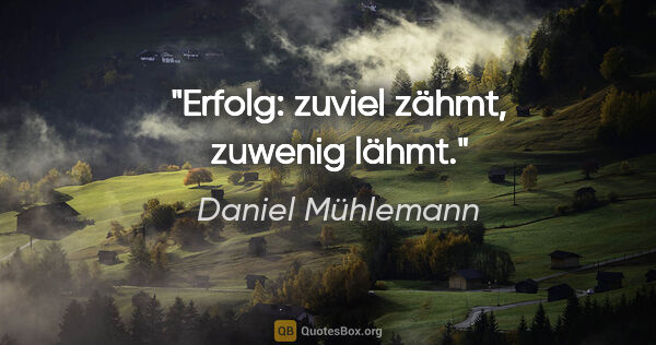 Daniel Mühlemann Zitat: "Erfolg: zuviel zähmt, zuwenig lähmt."