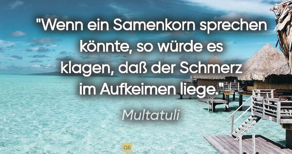 Multatuli Zitat: "Wenn ein Samenkorn sprechen könnte, so würde es klagen, daß..."