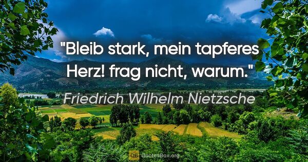 Friedrich Wilhelm Nietzsche Zitat: "Bleib stark, mein tapferes Herz! frag nicht, warum."