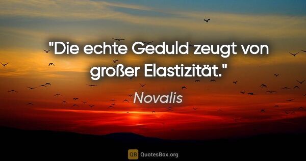 Novalis Zitat: "Die echte Geduld zeugt von großer Elastizität."