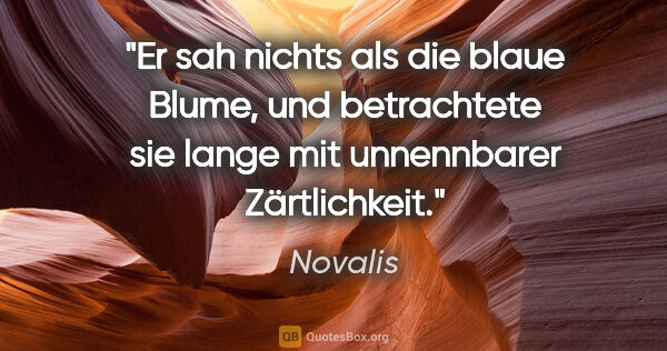 Novalis Zitat: "Er sah nichts als die blaue Blume, und betrachtete sie..."