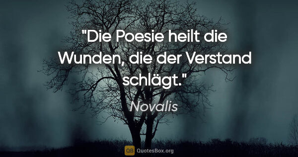 Novalis Zitat: "Die Poesie heilt die Wunden, die der Verstand schlägt."