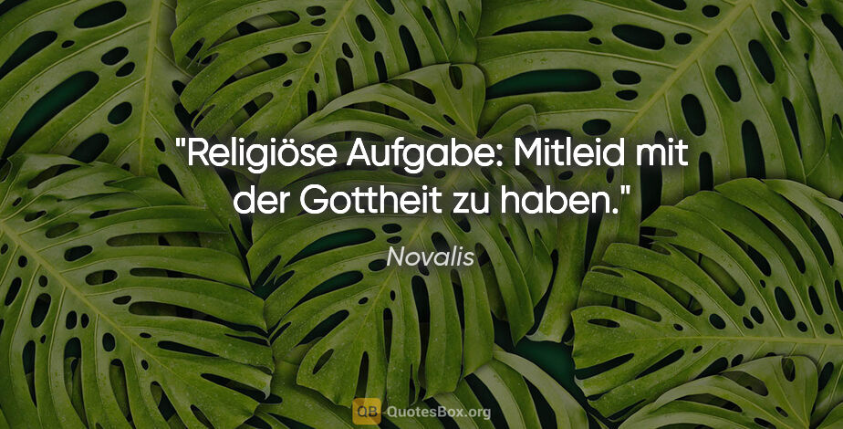Novalis Zitat: "Religiöse Aufgabe: Mitleid mit der Gottheit zu haben."