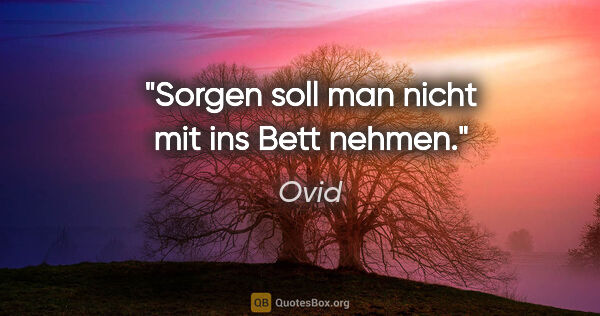 Ovid Zitat: "Sorgen soll man nicht mit ins Bett nehmen."