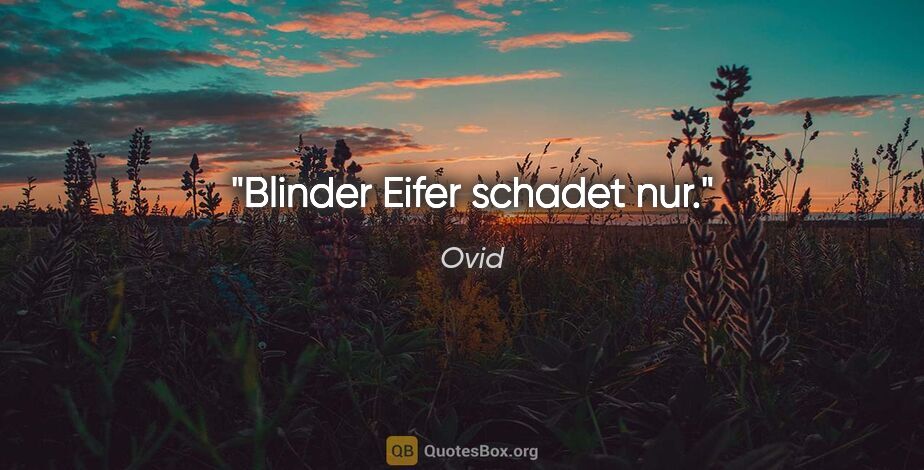 Ovid Zitat: "Blinder Eifer schadet nur."